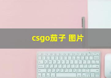 csgo茄子 图片